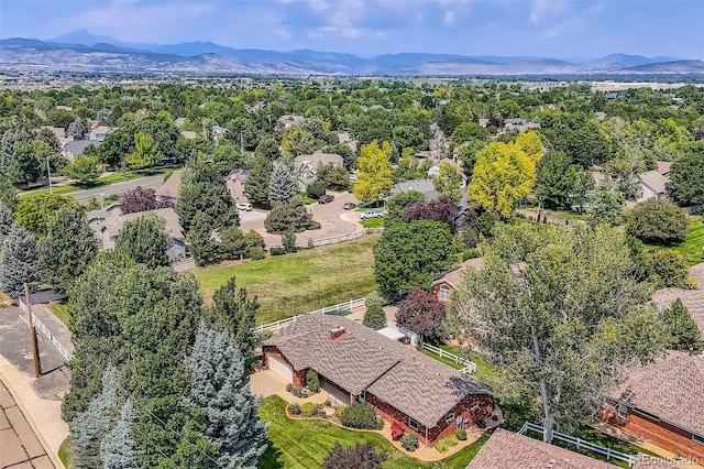 3600 Quail Rd, Longmont, CO 80503 - photo 30