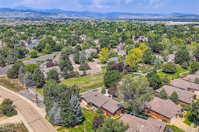 3600 Quail Rd, Longmont, CO 80503 - photo 31