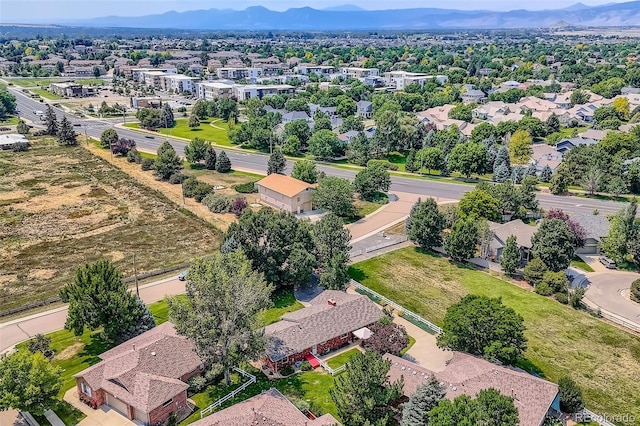 3600 Quail Rd, Longmont, CO 80503 - photo 34