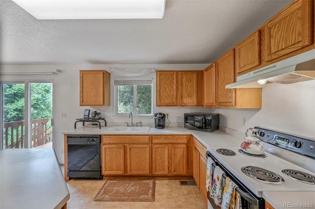 611 Branding Iron Ln, Castle Rock, CO 80104 - photo 12