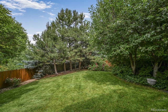 611 Branding Iron Ln, Castle Rock, CO 80104 - photo 26