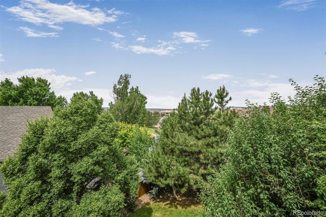 611 Branding Iron Ln, Castle Rock, CO 80104 - photo 28