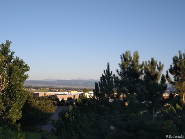 611 Branding Iron Ln, Castle Rock, CO 80104 - photo 29