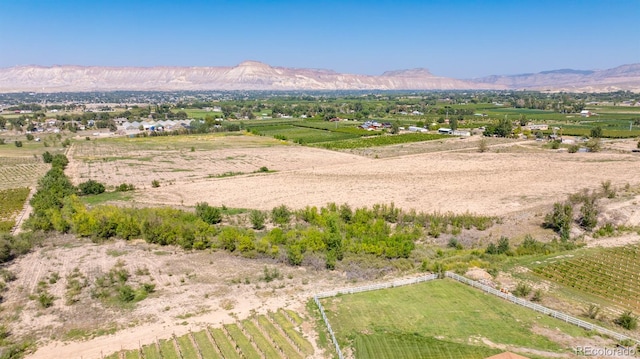 267 33rd Rd, Palisade CO, 81526 land for sale