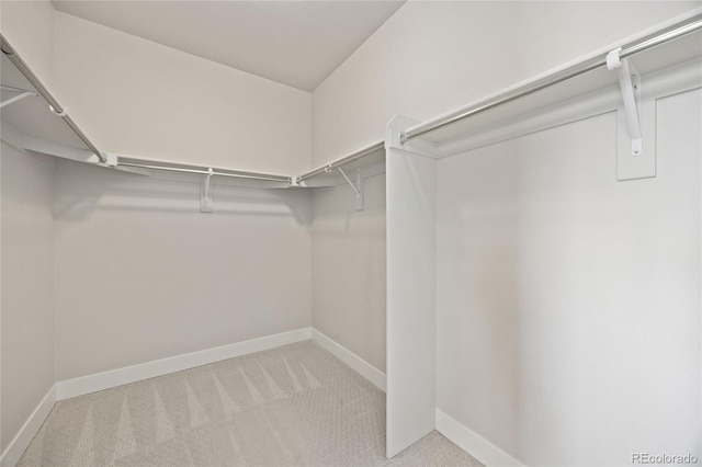 spacious closet with light colored carpet