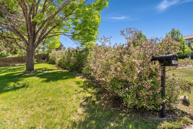 4390 S Sheridan Blvd, Littleton, CO 80123 - view of yard