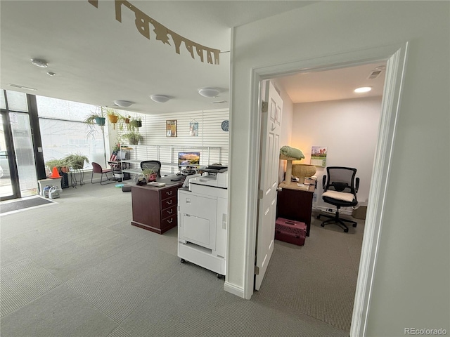 183 E Ave, Limon, CO 80828 - office space with carpet