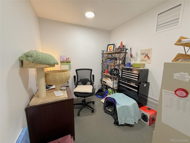 183 E Ave, Limon, CO 80828 - view of carpeted home office