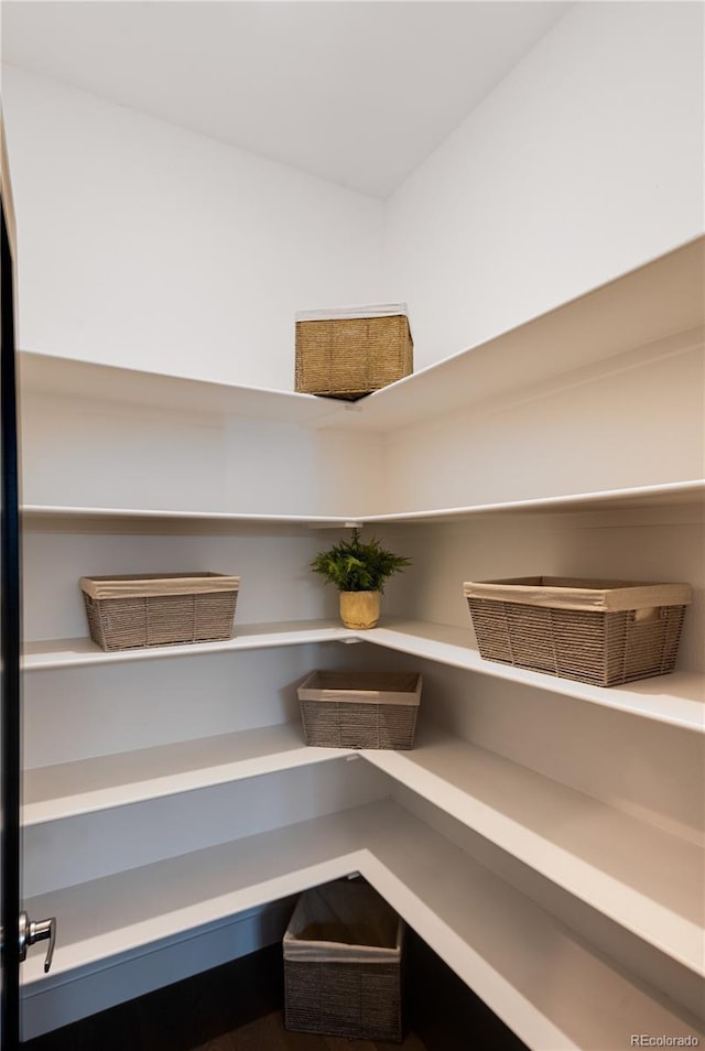 7861 W 51st Ave Unit B, Arvada, CO 80002 - view of pantry