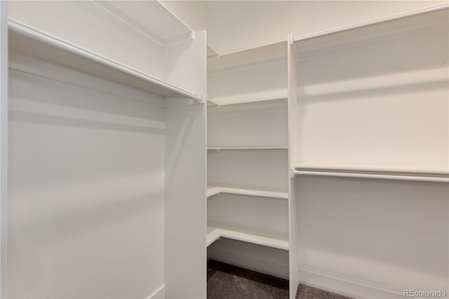7861 W 51st Ave Unit B, Arvada, CO 80002 - walk in closet with carpet flooring