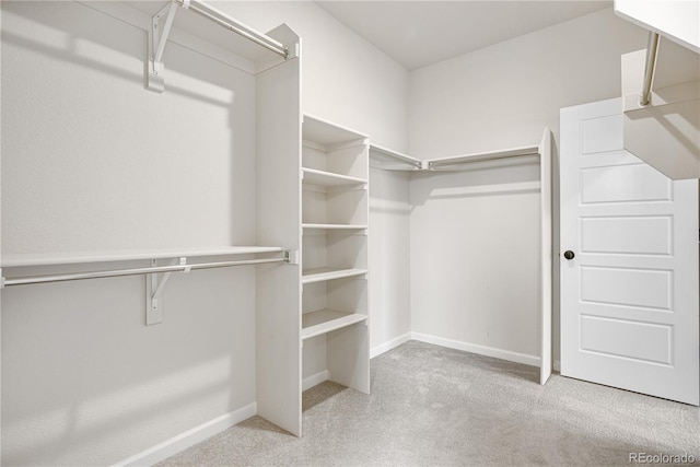 8028 Williams Fork Ave, Littleton, CO 80125 - spacious closet featuring carpet flooring