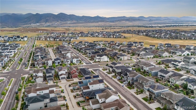 8028 Williams Fork Ave, Littleton, CO 80125 - photo 42