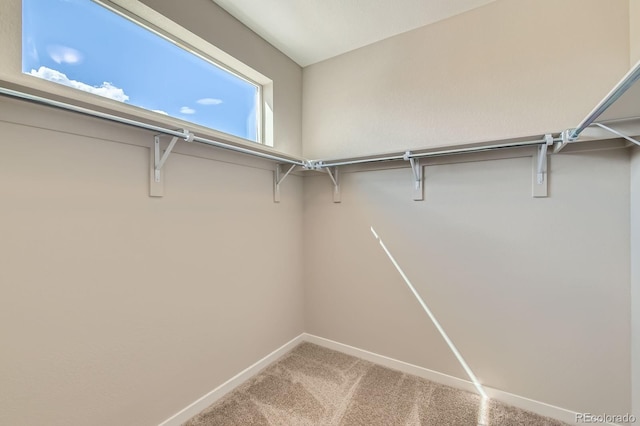 1759 Peak Loop, Broomfield, CO 80023 - photo 16