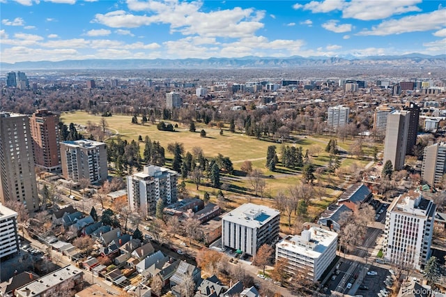 1265 Race St Unit 203, Denver, CO 80206 - view of urban area with a mountain backdrop