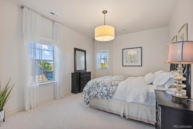 10525 Sunshower Pl, Highlands Ranch, CO 80126 - photo 33