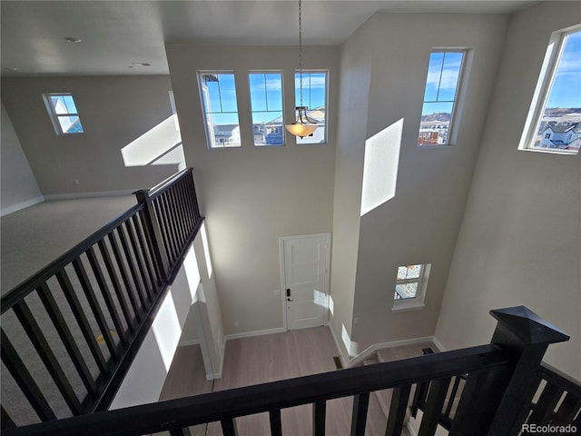 stairs featuring hardwood / wood-style floors