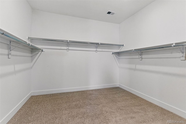 walk in closet featuring carpet and visible vents