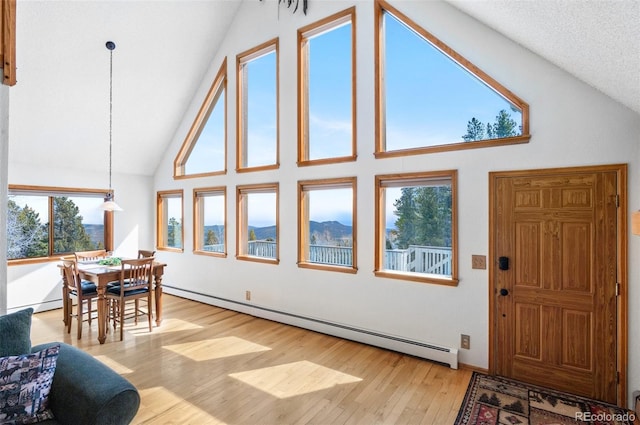 interior space featuring baseboard heating and a baseboard heating unit