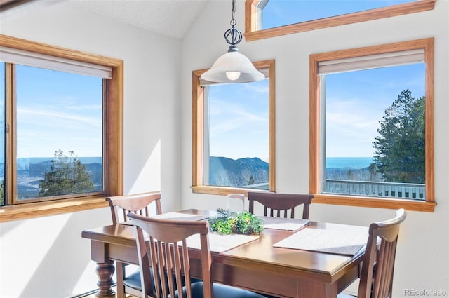 dining room with a textured ceiling, a healthy amount of sunlight, and lofted ceiling