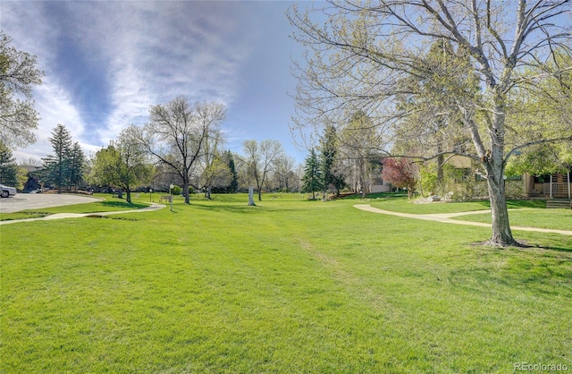 view of property's community featuring a yard