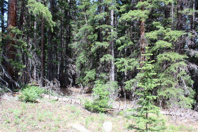GROUP13 Lamartine Rd, Idaho Springs, CO 80452
