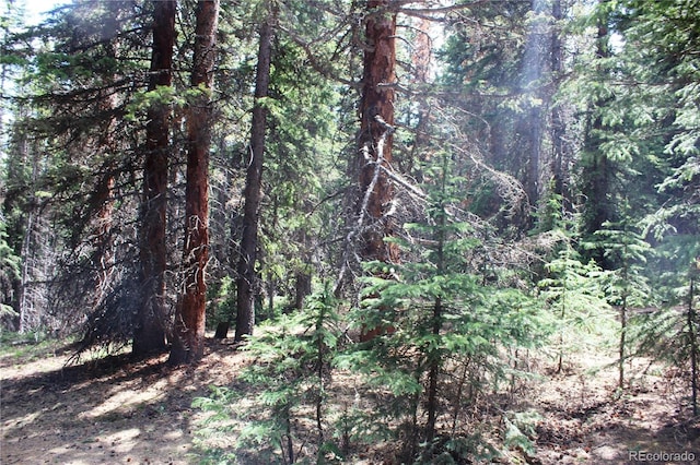 GROUP13 Lamartine Rd, Idaho Springs, CO 80452