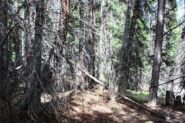 GROUP13 Lamartine Rd, Idaho Springs, CO 80452