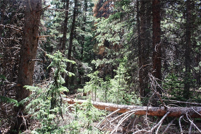 GROUP13 Lamartine Rd, Idaho Springs, CO 80452