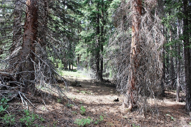 GROUP13 Lamartine Rd, Idaho Springs, CO 80452
