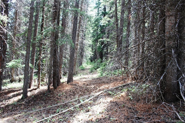 GROUP13 Lamartine Rd, Idaho Springs, CO 80452