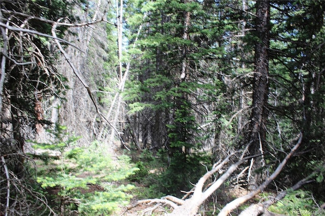 GROUP13 Lamartine Rd, Idaho Springs, CO 80452