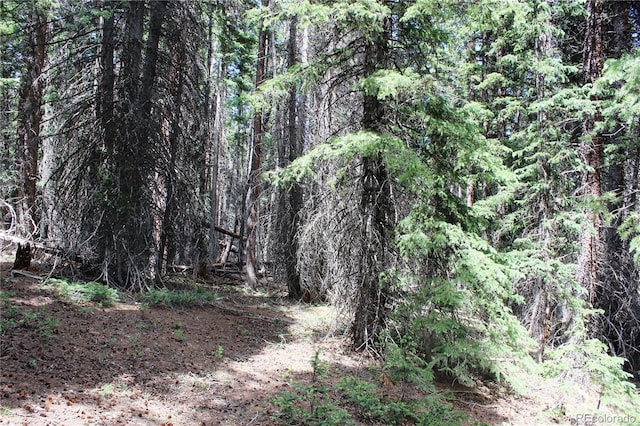 GROUP13 Lamartine Rd, Idaho Springs, CO 80452