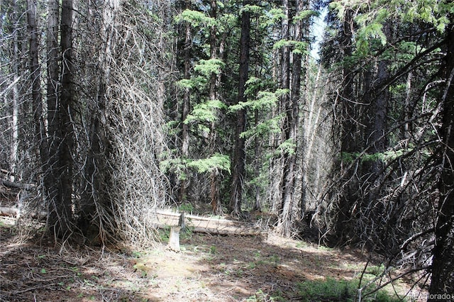 GROUP13 Lamartine Rd, Idaho Springs, CO 80452