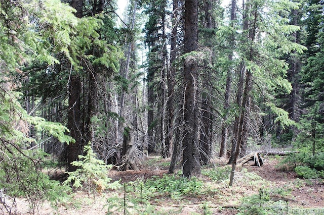 GROUP13 Lamartine Rd, Idaho Springs, CO 80452