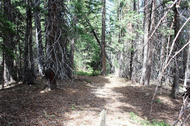 GROUP13 Lamartine Rd, Idaho Springs, CO 80452