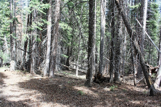 GROUP13 Lamartine Rd, Idaho Springs, CO 80452