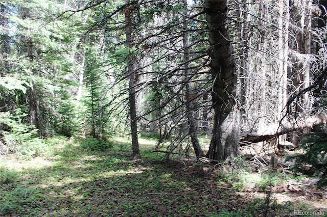 GROUP13 Lamartine Rd, Idaho Springs, CO 80452