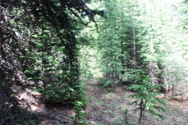 GROUP13 Lamartine Rd, Idaho Springs, CO 80452