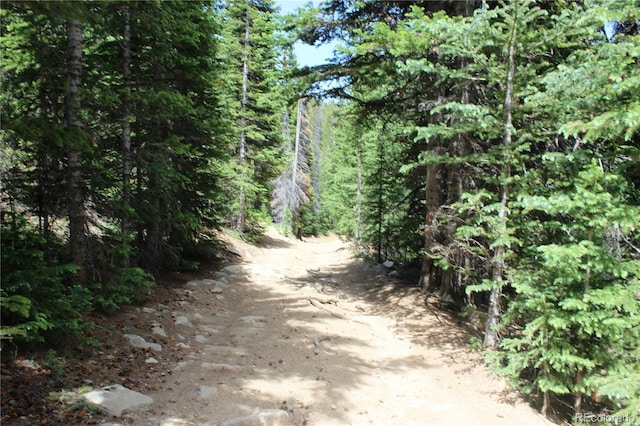 GROUP13 Lamartine Rd, Idaho Springs, CO 80452