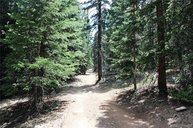 GROUP13 Lamartine Rd, Idaho Springs, CO 80452