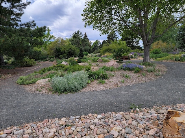 1765 S Kline Way, Lakewood, CO 80232 - photo 42