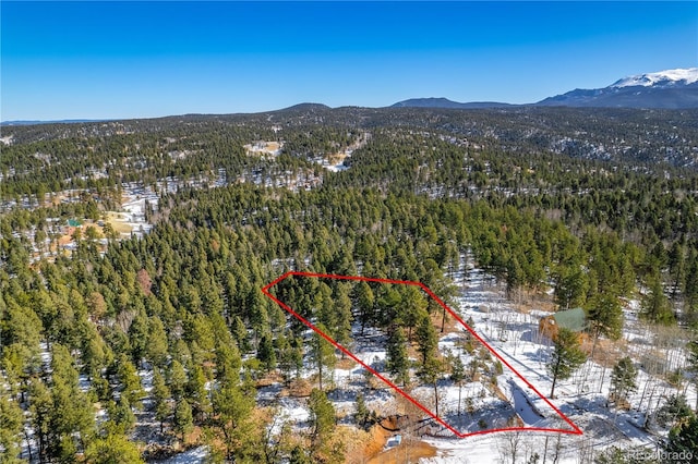 126 Rampart Cir, Florissant CO, 80816 land for sale