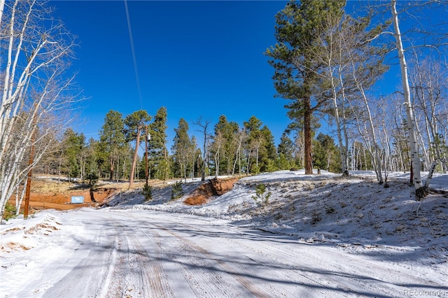 Listing photo 3 for 126 Rampart Cir, Florissant CO 80816