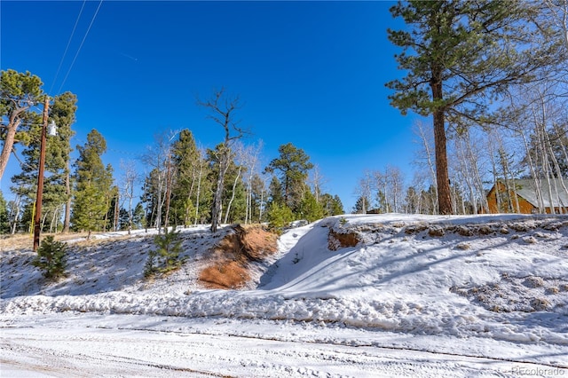 126 Rampart Cir, Florissant, CO 80816