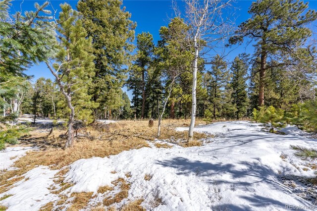 126 Rampart Cir, Florissant, CO 80816