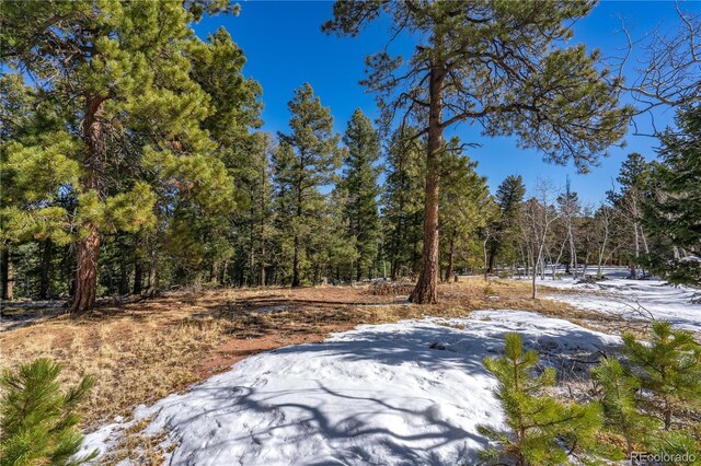 126 Rampart Cir, Florissant, CO 80816