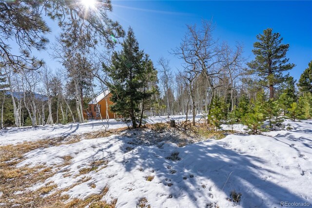 126 Rampart Cir, Florissant, CO 80816