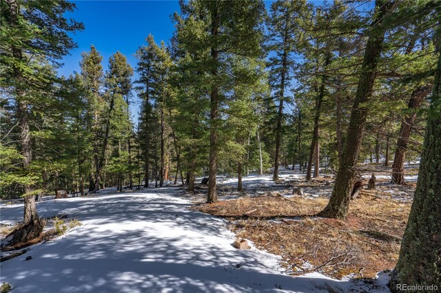 126 Rampart Cir, Florissant, CO 80816