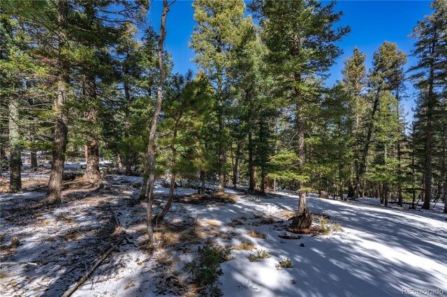 126 Rampart Cir, Florissant, CO 80816