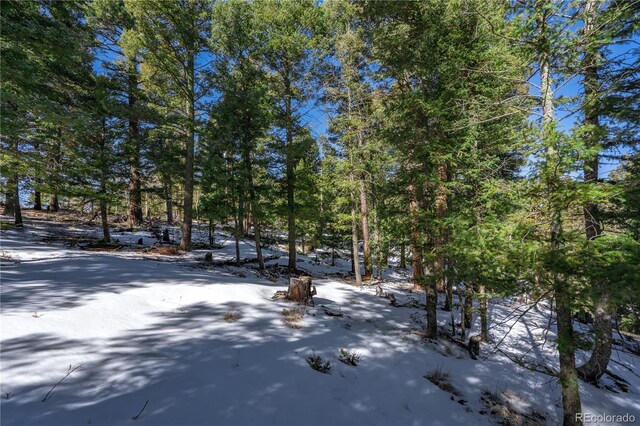 126 Rampart Cir, Florissant, CO 80816